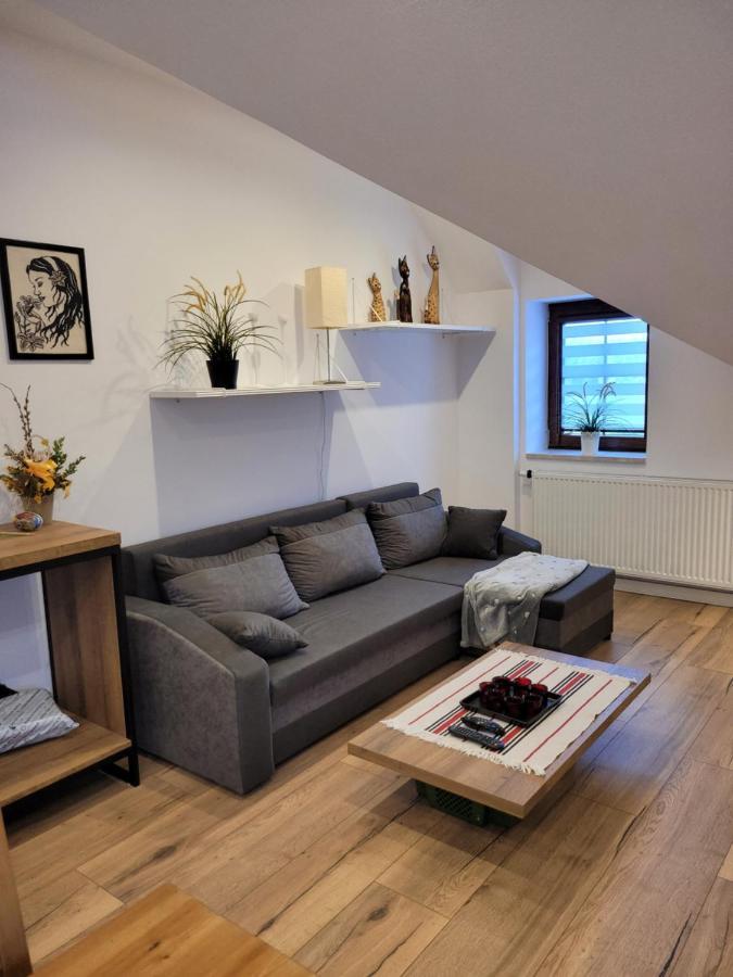 Apartamenty Cichosza Samborowo Екстериор снимка